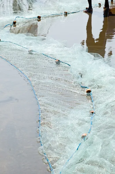 Fiske med nät på stranden — Gratis stockfoto