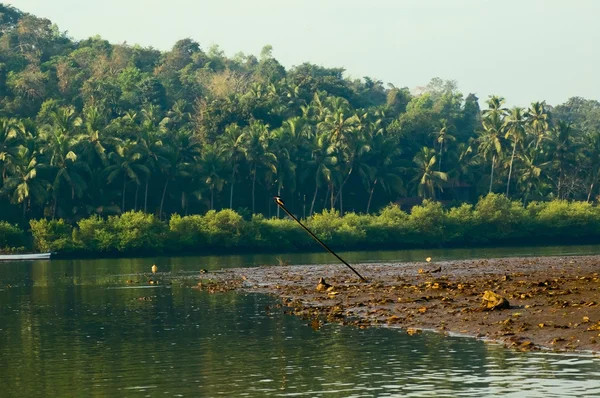 Ein Vogelschutzgebiet in panaji, chorao island — Stockfoto