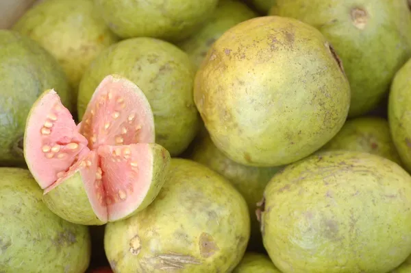 Guaven — kostenloses Stockfoto
