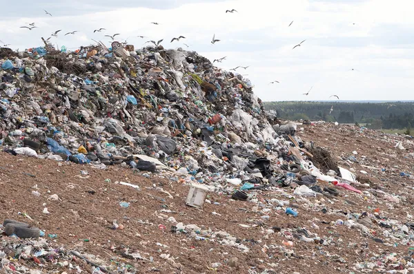 Wysypisko śmieci — Zdjęcie stockowe