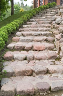 Natural stone steps along a hedgerow clipart