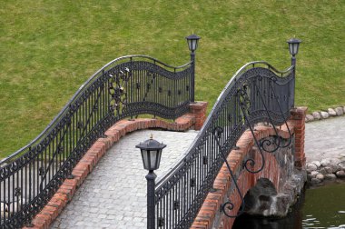 Scenic footbridge in a park