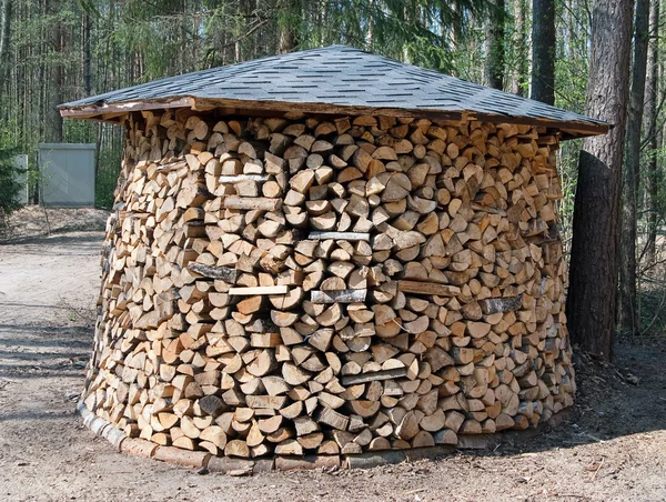 stock image Large round firewood prepared in forest