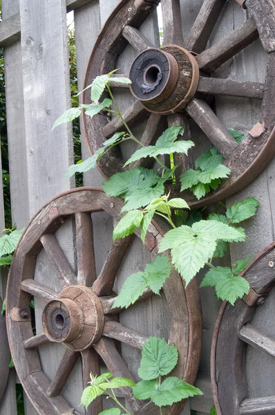 Старые деревянные колеса и зеленые листья — стоковое фото