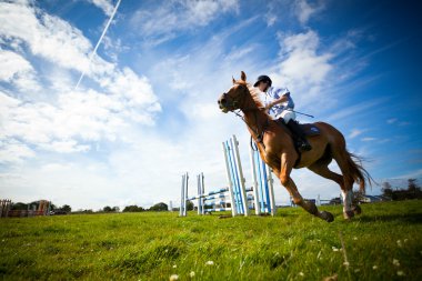 Man riding with horse clipart