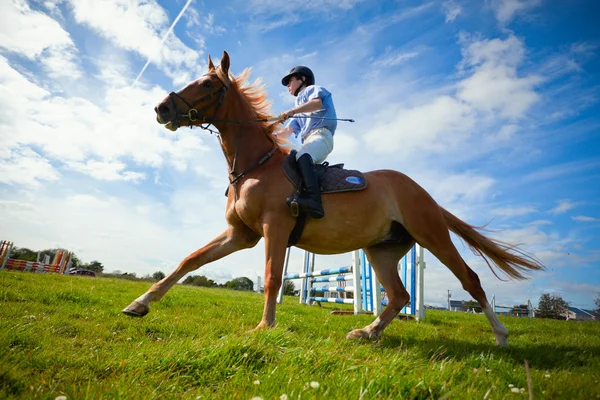 Man riding with Horse — Stock Photo, Image