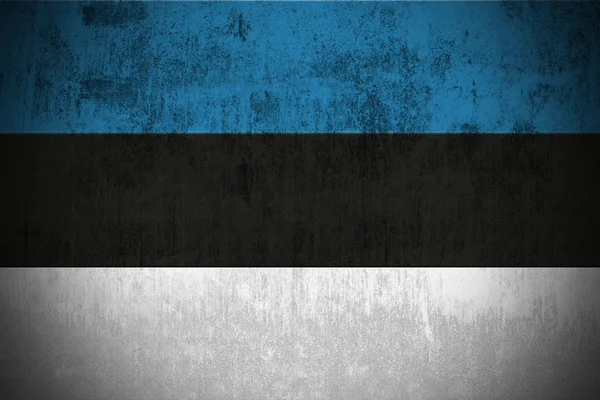 Bandeira Grunge de Estonia — Fotografia de Stock