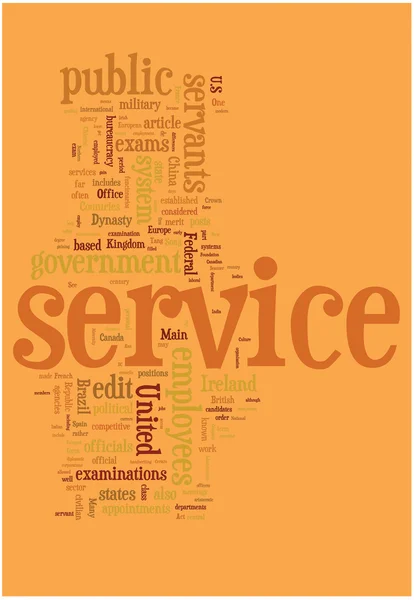 Service word cloud — Stock Vector