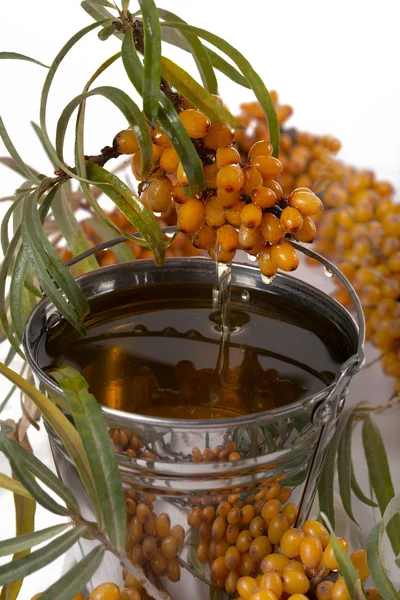 Olio di bacche di olivello spinoso . — Foto Stock
