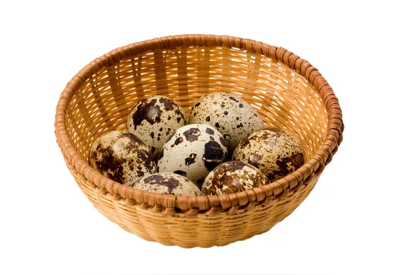 Vaktelägg — Stockfoto