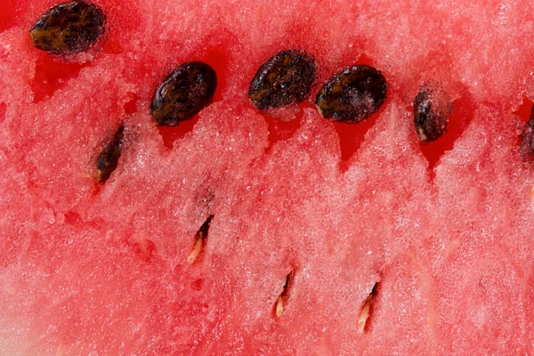 stock image Watermelon