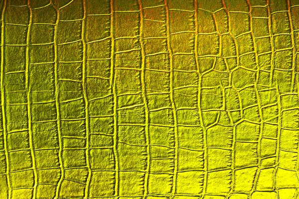 Textura em couro dourado — Fotografia de Stock