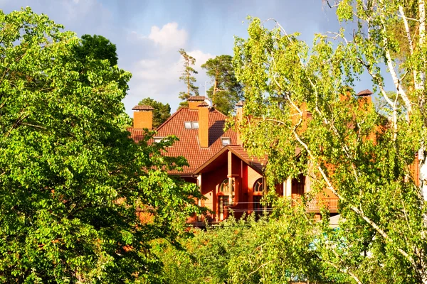 stock image House on a green trees