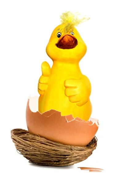 Duckling in egg — Stock Photo, Image