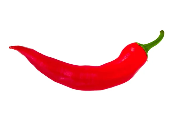 Chile de pimienta —  Fotos de Stock