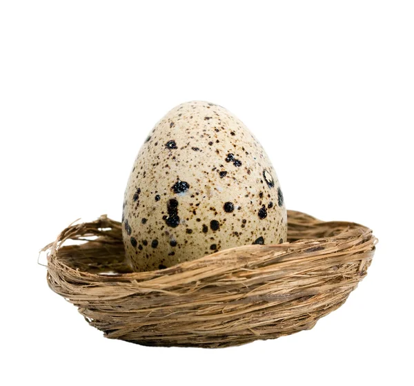 Мраморное яйцо — стоковое фото