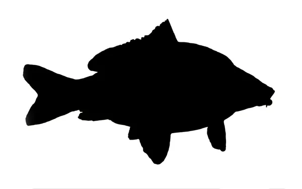Silhouet van vis — Stockfoto