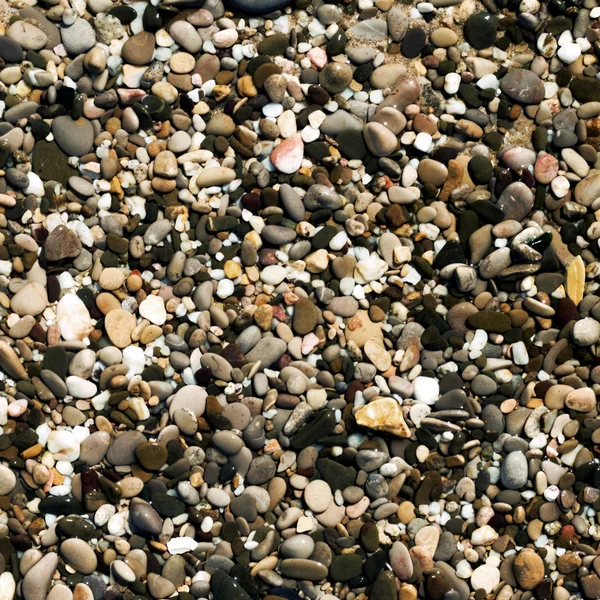 Peeble 石头 — 图库照片