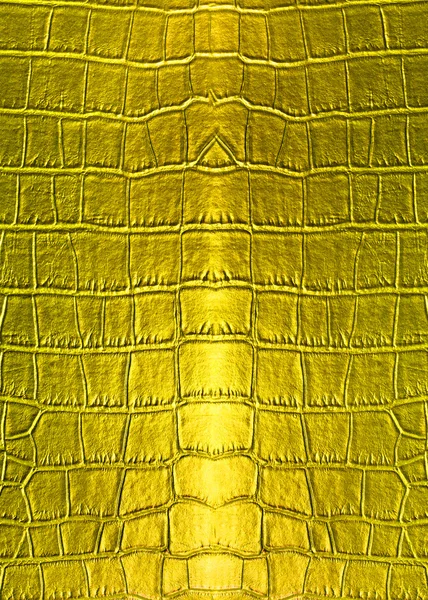 Pelle dorata texture in pelle — Foto Stock