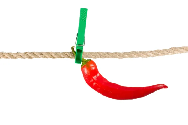 Röd paprika chile på klädnypor rep — Stockfoto