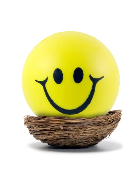Happy smileys face — Stock Photo, Image