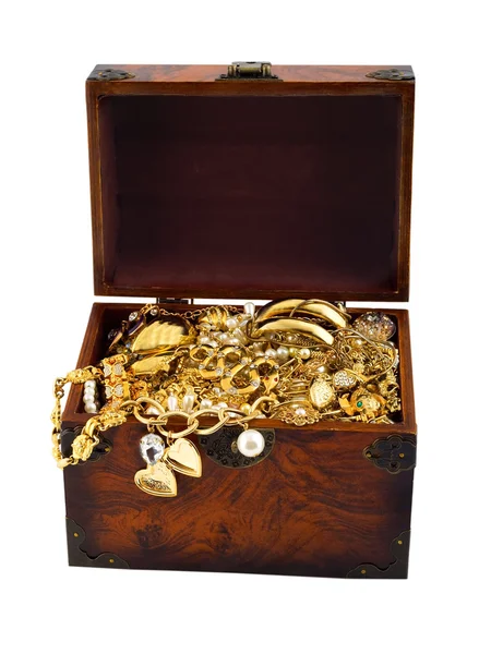 Treasure chest snake — Stock Photo, Image