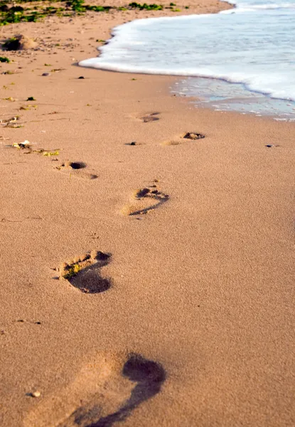 沙滩上的足印 — 图库照片