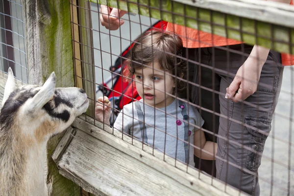 動物園での女の子 — ストック写真