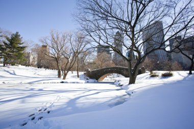 Central park, new york. güzel şehirde güzel park.