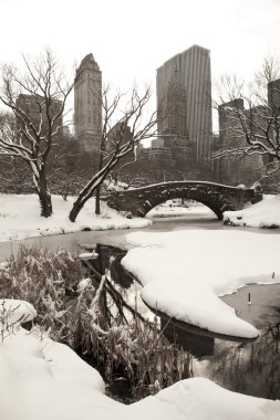 Central park, new york. güzel şehirde güzel park.