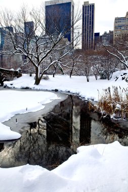 Central park, new york. güzel şehirde güzel park.