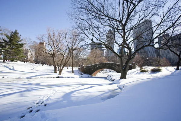 Central park, new york. prachtig park in de prachtige stad. — Stockfoto