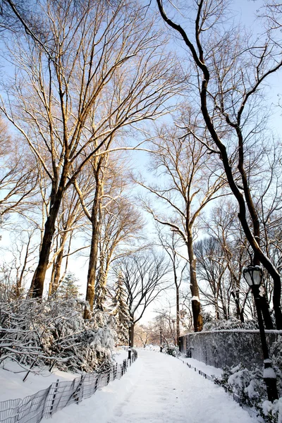 中央公园，纽约。美丽的公园，在美丽的城市. — 图库照片