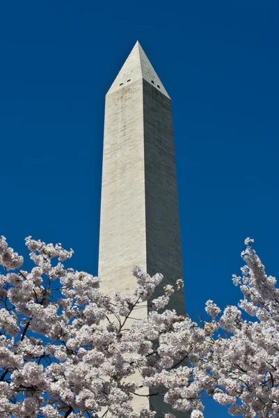 华盛顿纪念碑在阳光灿烂的日子 — 图库照片