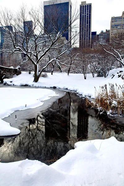 Central park, new york. vacker park i vackra stad. — Stockfoto