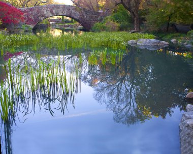 Gapstow bridge in Central Park clipart