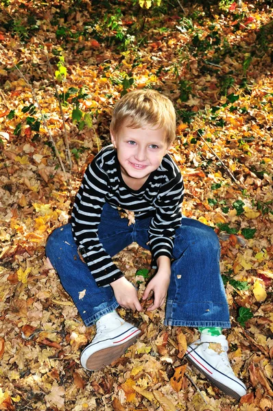Szczęśliwy chłopiec jesień — Zdjęcie stockowe