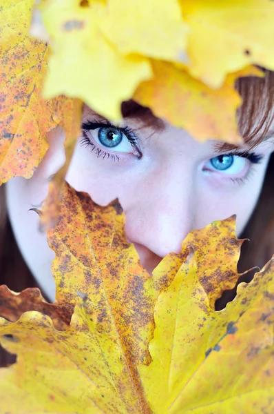 Autumn eyes — Stock Photo, Image