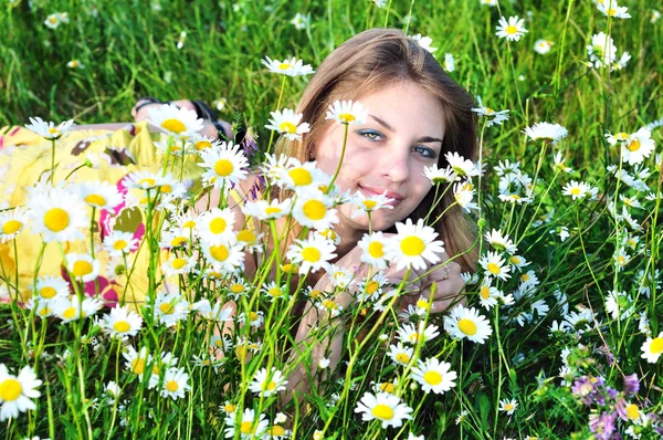 On the meadow — Stock Photo, Image