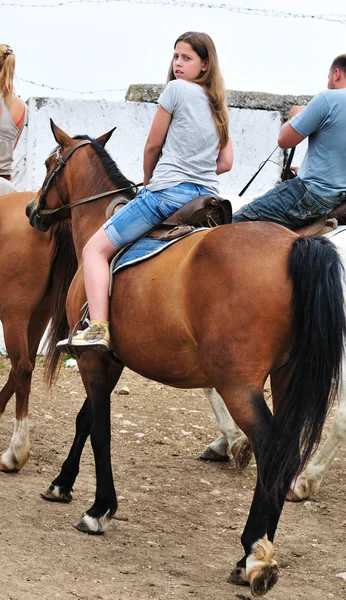 Riding the horse — Stock Photo, Image