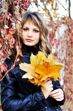 In autumn colors clipart