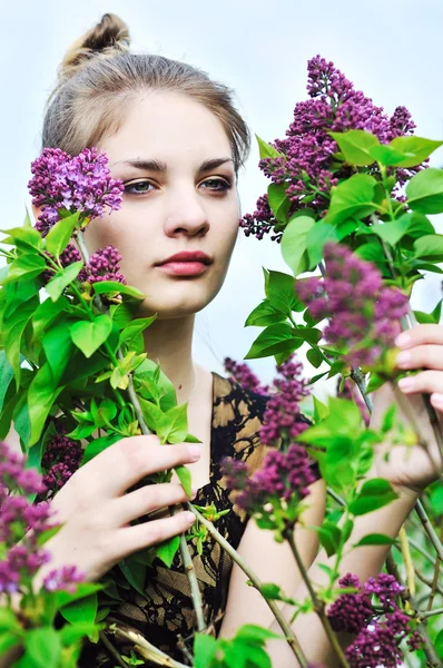 In fiore di lilla — Foto Stock