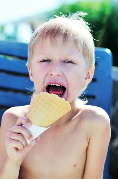 夏のアイスクリーム — ストック写真