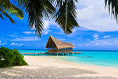 Картина, постер, плакат, фотообои "diving club on a tropical island", артикул 10213283