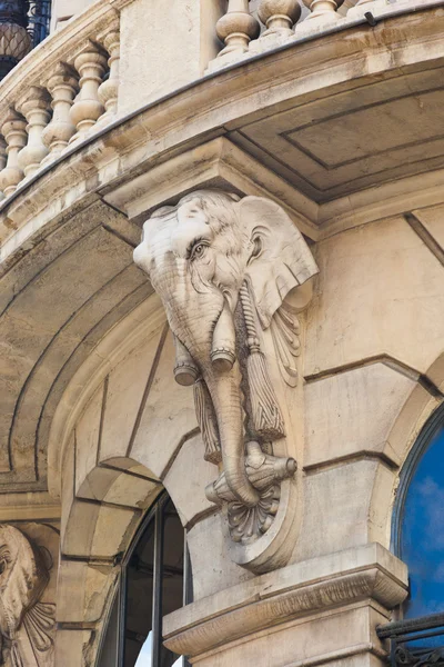 Olifant bij huis in madrid Spanje — Stockfoto