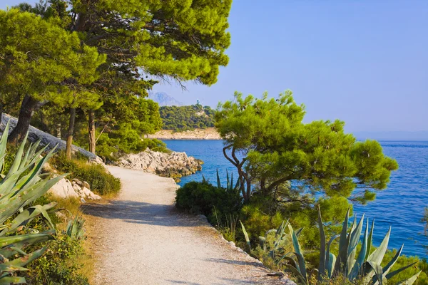 Caminho em Makarska, Croácia — Fotografia de Stock