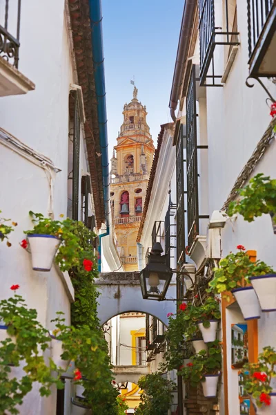 Rua Flores em Córdoba Espanha — Fotografia de Stock