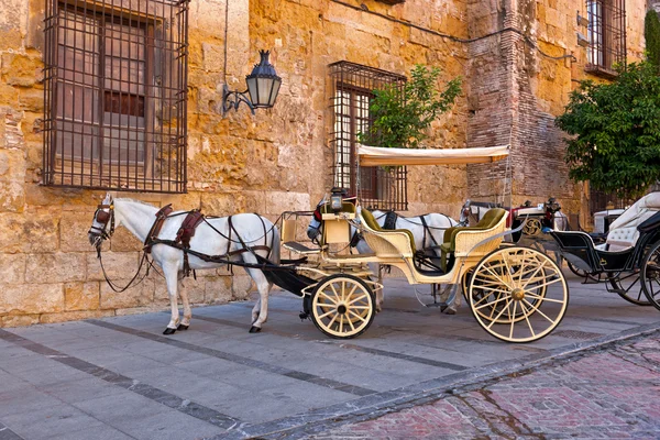 Tradiční koně a vozík cordoba Španělsko — Stock fotografie