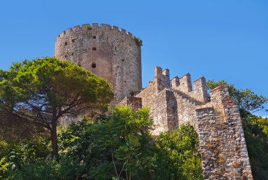 İstanbul Türkiye 'deki Rumeli Kalesi