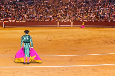 Matador in bullfighting arena at Madrid clipart